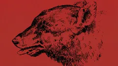 Kun jij de persoon in deze optische illusie vinden?