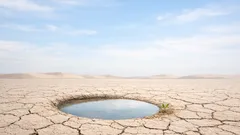 Hoe halvemaanvormige kuilen droog land weer groen maken met regenwateropvang