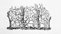 Het eerste dier dat je op de afbeelding ziet, onthult je ware persoonlijkheid.