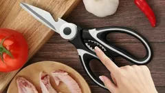 Weet je waar die kleine tandjes op een schaar voor dienen?