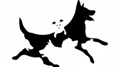 Hoeveel honden zie je op de afbeelding? Een snelle test onthult je psychologische leeftijd.